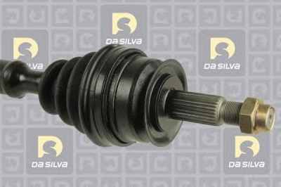 DA SILVA 10030tbis -